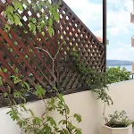 Yankov's House Sozopol