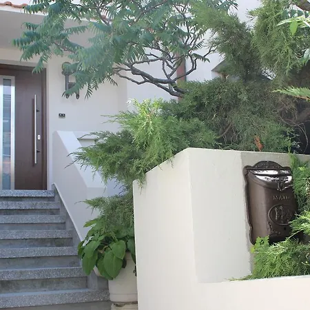 къщата на янкови 2*