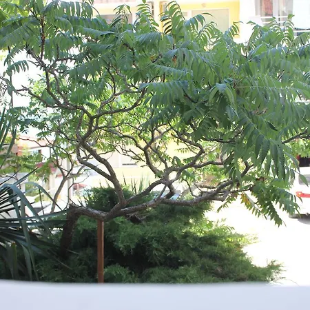 къщата на янкови Къща за гости Созопол