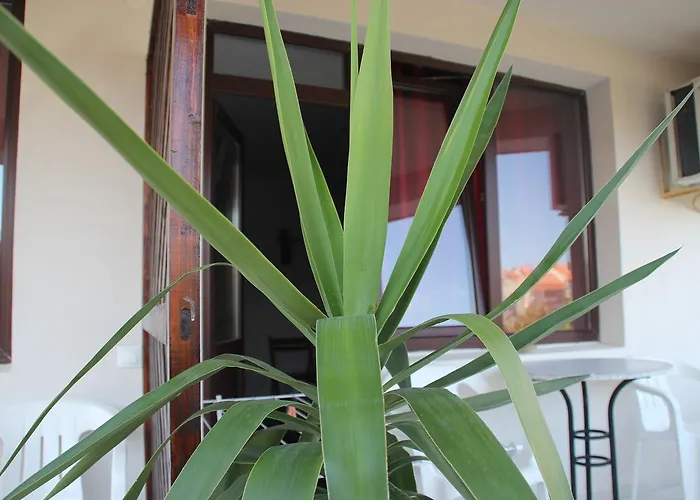 Yankov's House Gasthuis Sozopol