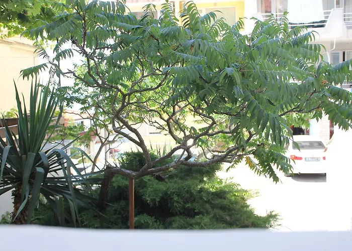 Yankov's House Gasthuis Sozopol